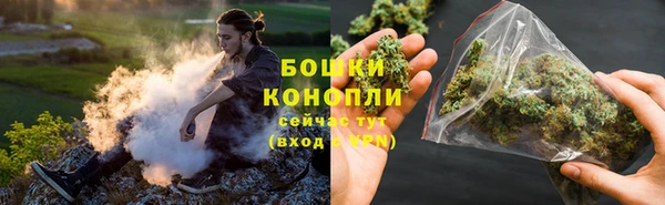 дмт Нея