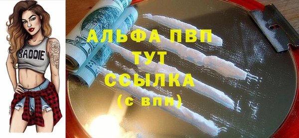 прущие грибы Навашино