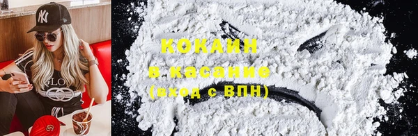 твердый Алексин