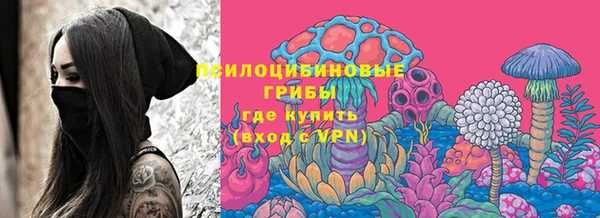 твердый Алексин