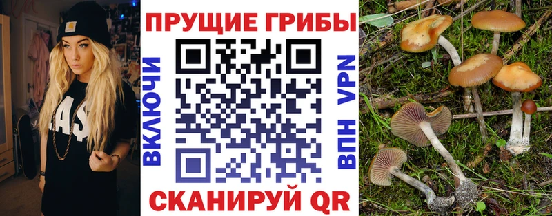 Галлюциногенные грибы мицелий  где можно купить   Аргун 